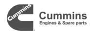 cummins